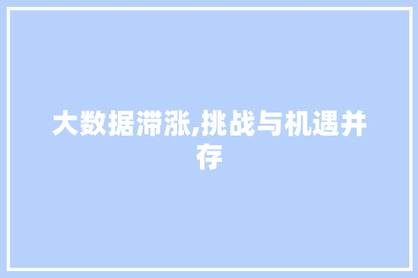 大数据滞涨,挑战与机遇并存