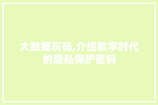 大数据灰码,介绍数字时代的隐私保护密码