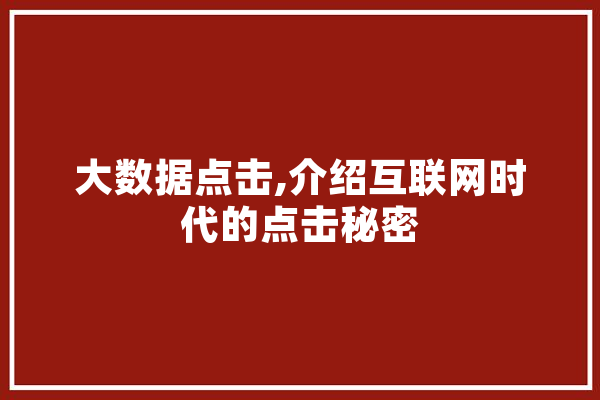 大数据点击,介绍互联网时代的点击秘密