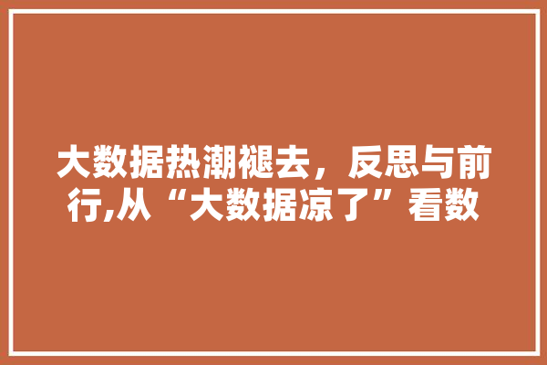 大数据热潮褪去，反思与前行,从“大数据凉了”看数据时代的未来