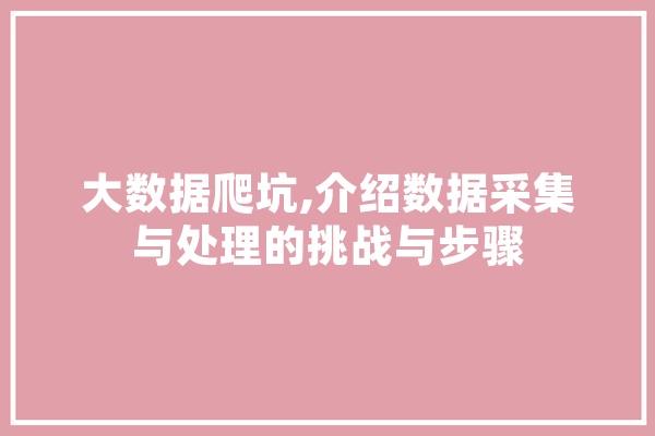 大数据爬坑,介绍数据采集与处理的挑战与步骤