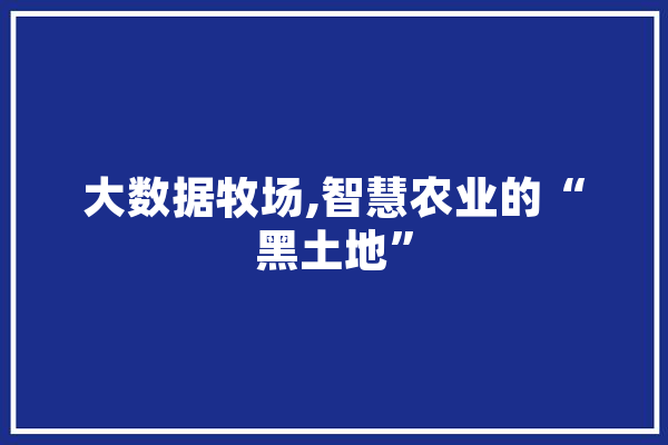 大数据牧场,智慧农业的“黑土地” 科技快讯