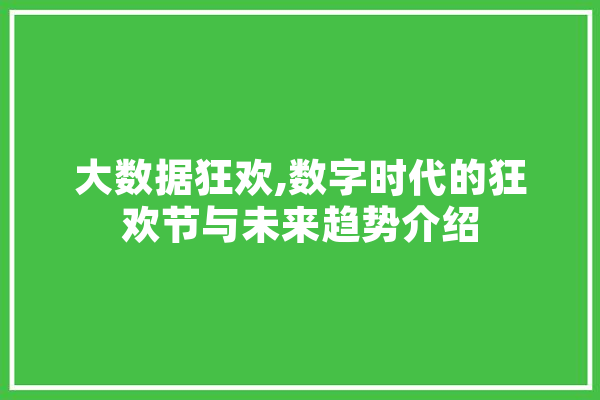 大数据狂欢,数字时代的狂欢节与未来趋势介绍