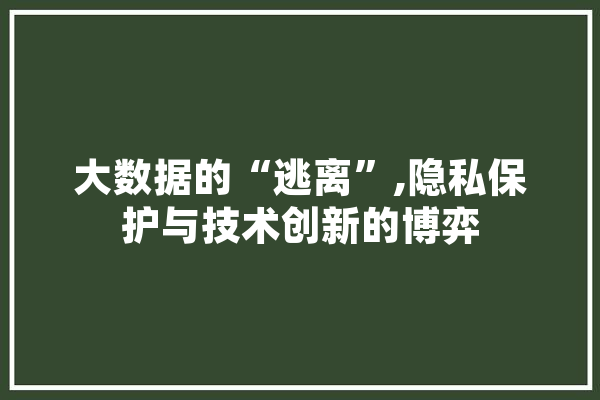 大数据的“逃离”,隐私保护与技术创新的博弈