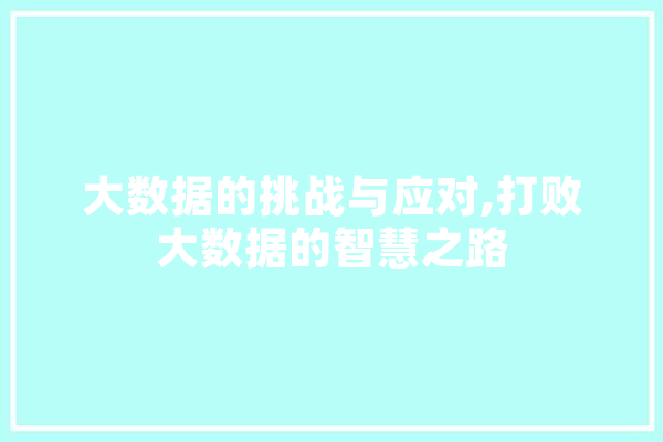 大数据的挑战与应对,打败大数据的智慧之路