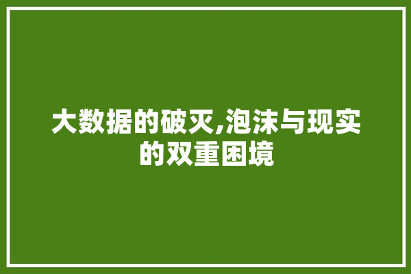 大数据的破灭,泡沫与现实的双重困境