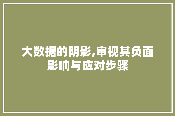 大数据的阴影,审视其负面影响与应对步骤 计算机