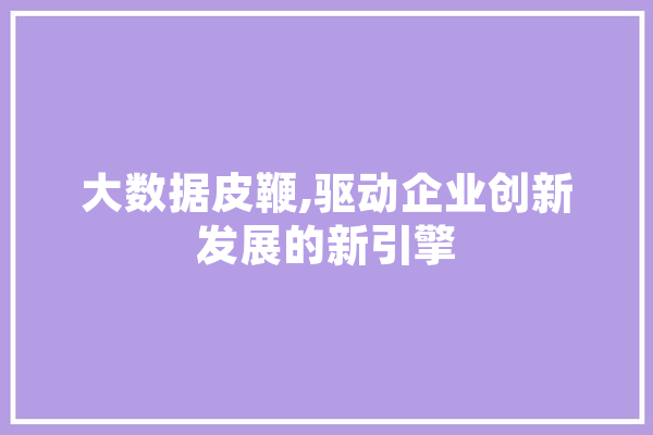 大数据皮鞭,驱动企业创新发展的新引擎 智能问答