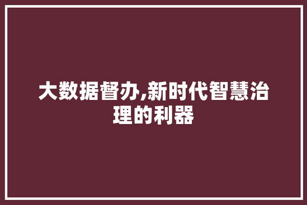 大数据督办,新时代智慧治理的利器 科技快讯