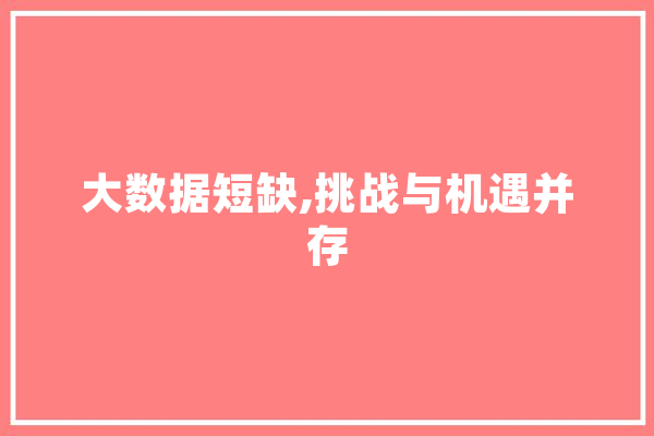 大数据短缺,挑战与机遇并存 云服务