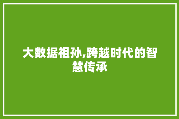 大数据祖孙,跨越时代的智慧传承