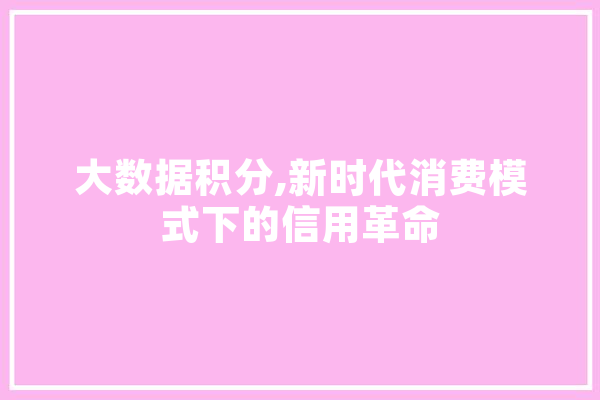 大数据积分,新时代消费模式下的信用革命