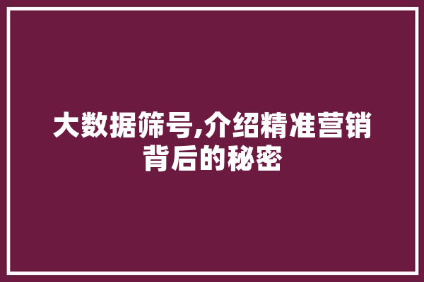 大数据筛号,介绍精准营销背后的秘密