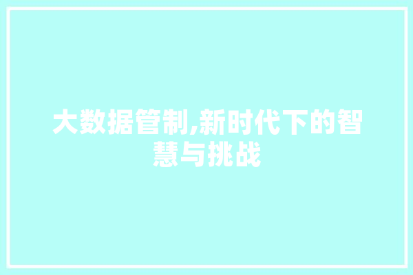 大数据管制,新时代下的智慧与挑战