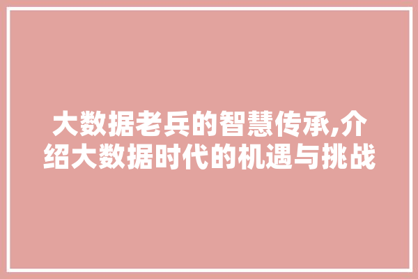 大数据老兵的智慧传承,介绍大数据时代的机遇与挑战