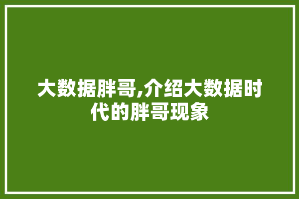大数据胖哥,介绍大数据时代的胖哥现象