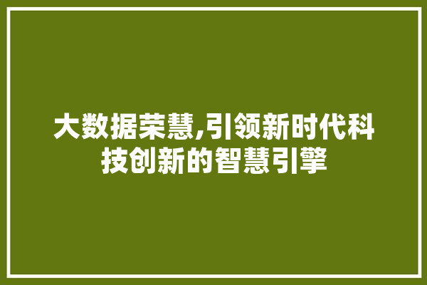 大数据荣慧,引领新时代科技创新的智慧引擎