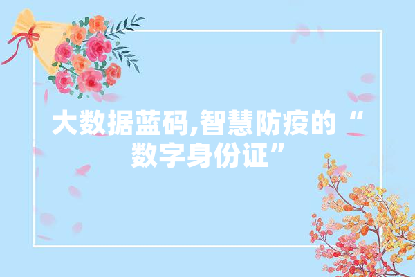 大数据蓝码,智慧防疫的“数字身份证”