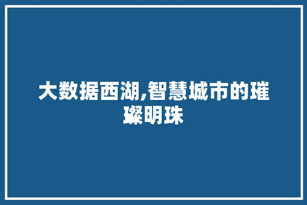 大数据西湖,智慧城市的璀璨明珠