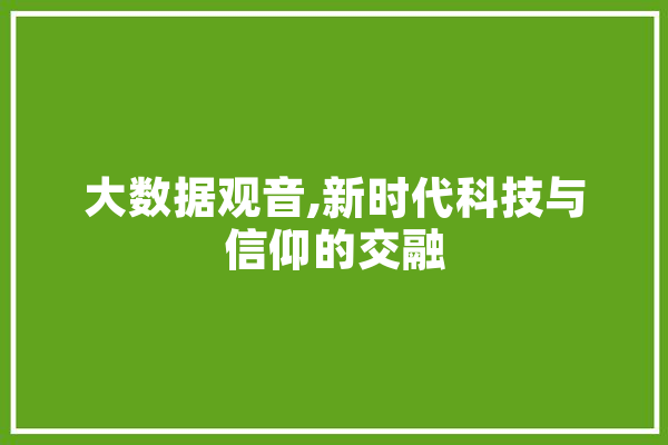 大数据观音,新时代科技与信仰的交融