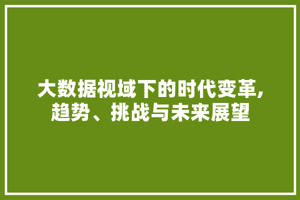 大数据视域下的时代变革,趋势、挑战与未来展望