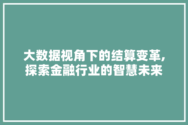 大数据视角下的结算变革,探索金融行业的智慧未来