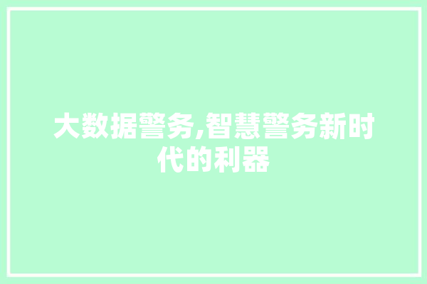 大数据警务,智慧警务新时代的利器