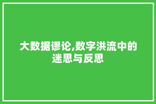 大数据谬论,数字洪流中的迷思与反思 AI简讯