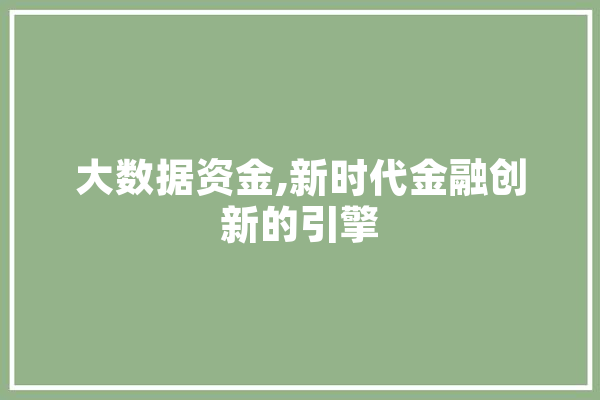 大数据资金,新时代金融创新的引擎