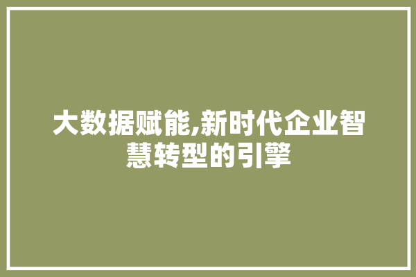 大数据赋能,新时代企业智慧转型的引擎 绘影字幕
