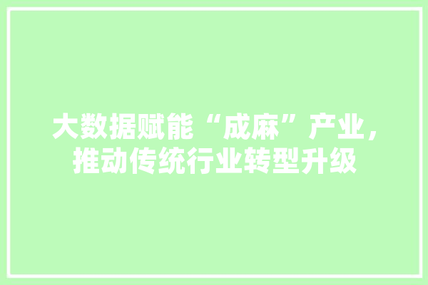 大数据赋能“成麻”产业，推动传统行业转型升级