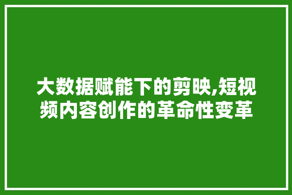 大数据赋能下的剪映,短视频内容创作的革命性变革 AI简讯