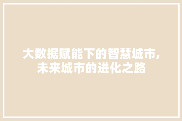 大数据赋能下的智慧城市,未来城市的进化之路