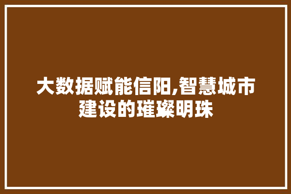 大数据赋能信阳,智慧城市建设的璀璨明珠