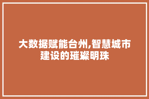 大数据赋能台州,智慧城市建设的璀璨明珠