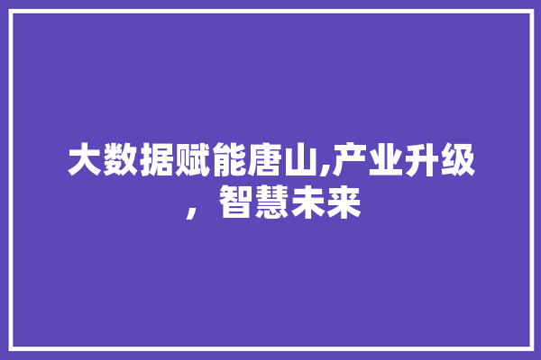 大数据赋能唐山,产业升级，智慧未来