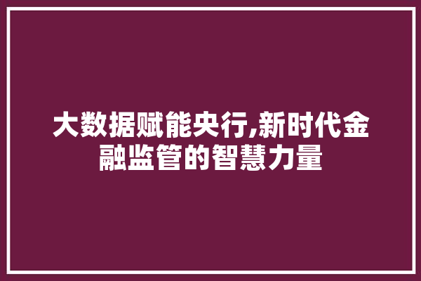 大数据赋能央行,新时代金融监管的智慧力量