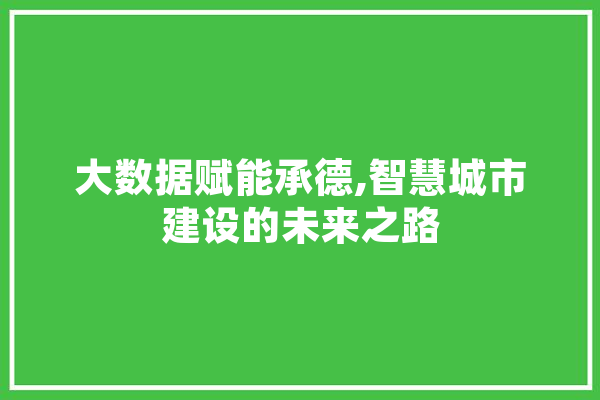 大数据赋能承德,智慧城市建设的未来之路