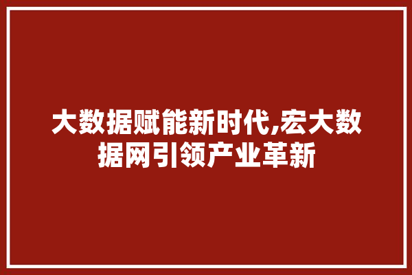 大数据赋能新时代,宏大数据网引领产业革新 文字写作