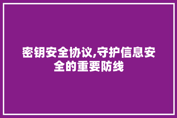 密钥安全协议,守护信息安全的重要防线