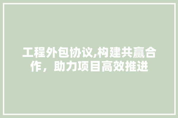 工程外包协议,构建共赢合作，助力项目高效推进 云服务