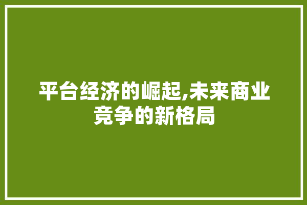 平台经济的崛起,未来商业竞争的新格局