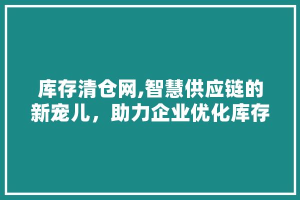 库存清仓网,智慧供应链的新宠儿，助力企业优化库存管理