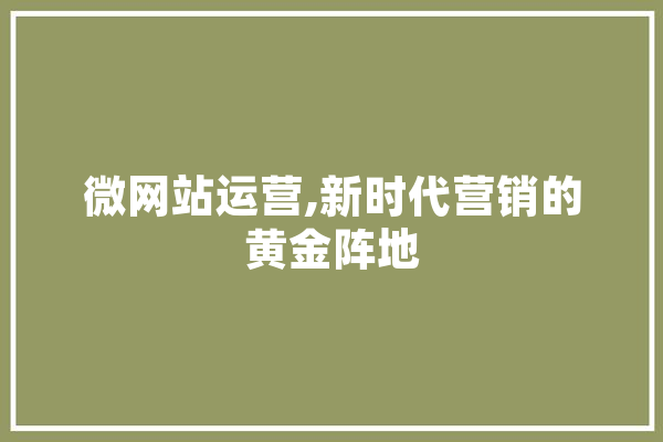 微网站运营,新时代营销的黄金阵地