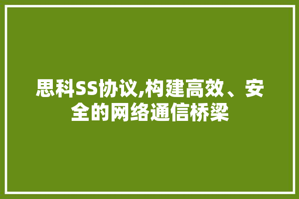 思科SS协议,构建高效、安全的网络通信桥梁