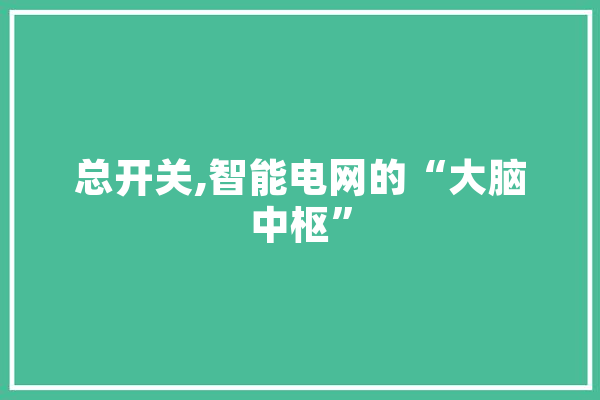 总开关,智能电网的“大脑中枢”