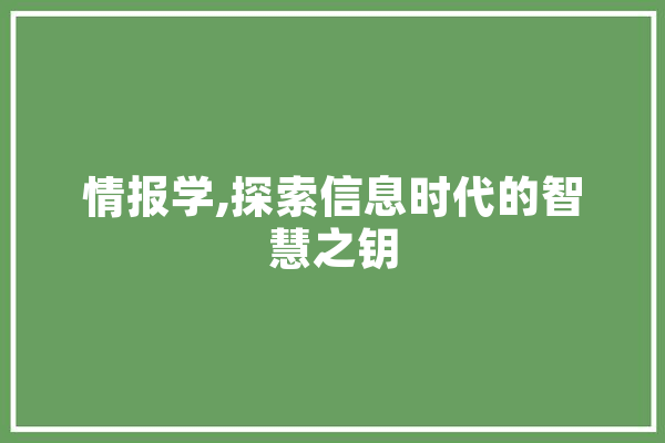 情报学,探索信息时代的智慧之钥 绘影字幕