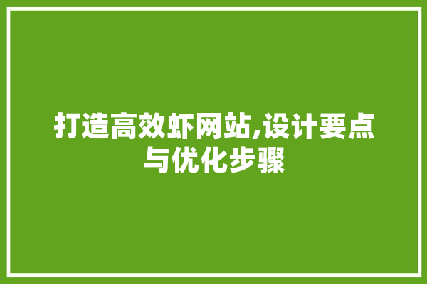打造高效虾网站,设计要点与优化步骤 云服务