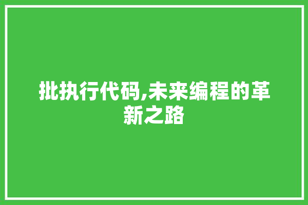 批执行代码,未来编程的革新之路