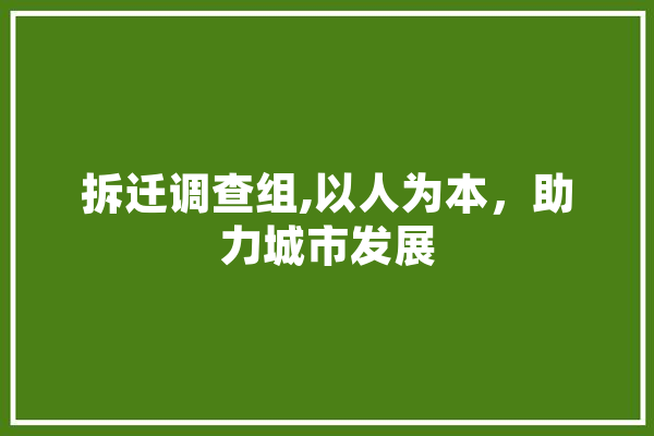 拆迁调查组,以人为本，助力城市发展 绘影字幕